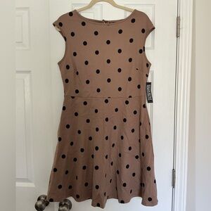 NWT New York & Company Tan Dress with Black Dots large